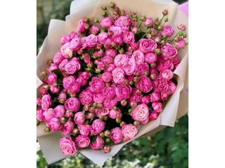 სპრეი ვარდები