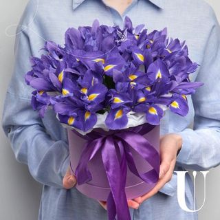 ირისების კომპოზიცია