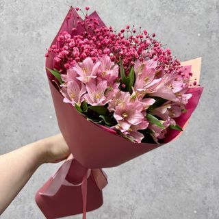 გიფსოფილები და ასტრომერიები