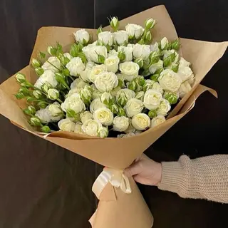 თეთრი ვარდები