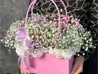 ჩანთა გიფსოფილებით