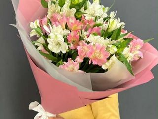 ასტრომერიების თაიგული