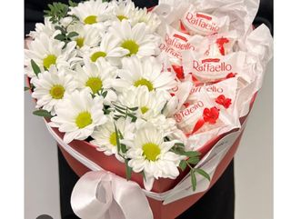 ქრიზანთემები რაფაელოს შოკოლადი გულში