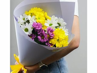 ფერადი ქრიზანთემა