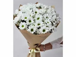 ქრიზანთემები