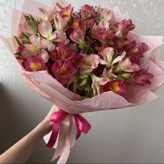 ასტრომერიების თაიგული