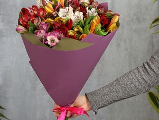 ასტრომერიების თაიგული