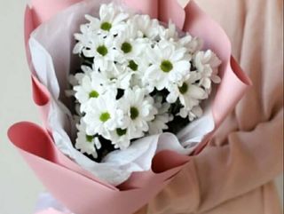 ქრიზანთემები