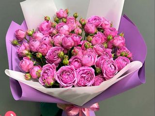 სპრეი ვარდები