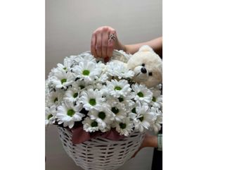 ქრიზანთემები და დათუნია კალათში