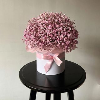 გიფსოფილების კომპოზიცია