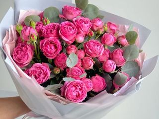 სპრეი ვარდები