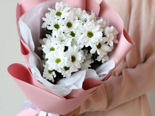 ქრიზანთემები მინი თაიგული