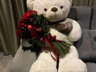 დათუნია წითელი ვარდებით (10ცალი)