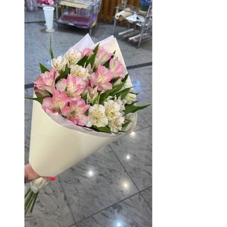 ასტრომერიების თაიგული