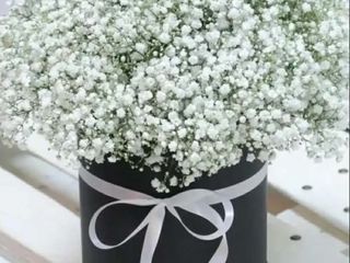 თეთრი გიფსოფილები ბოქსში