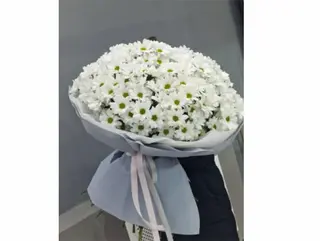 ქრიზანთემები
