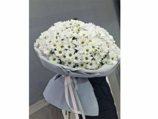 ქრიზანთემები