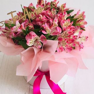 ასტრომერიები