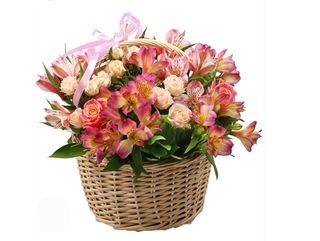 ასტეომერიების და ყვავილების მიქსი კალათში