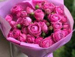 პიონოსებრი ვარდები