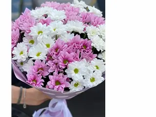 ფერადი ქრიზანთემები