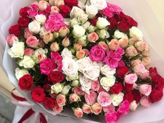 სპრეი ვარდების მიქსი