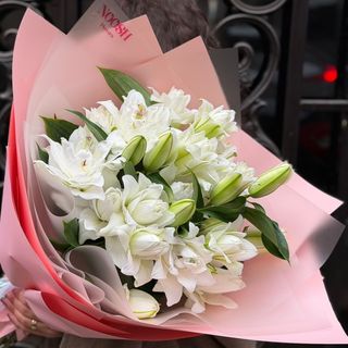 სამეფო ლილია