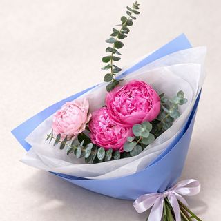 ვარდისფერი პიონი