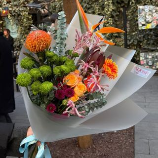 სამოთხის ჩიტი