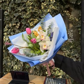 ნაზი სიო