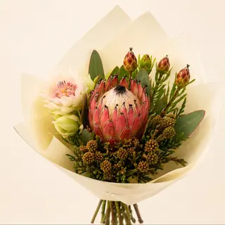 Pine-Cone