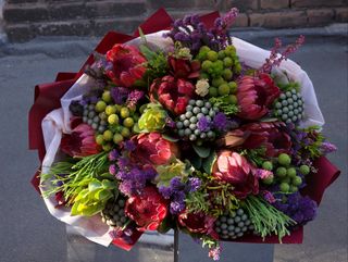 Africa Royal Collection