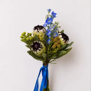 Niobi