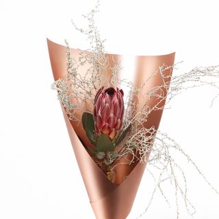 copper Bloom