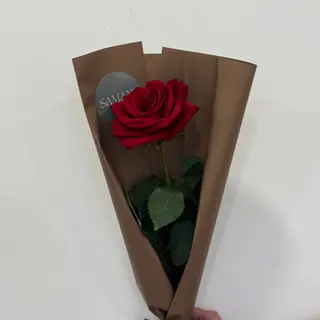 წითელი ვარდი