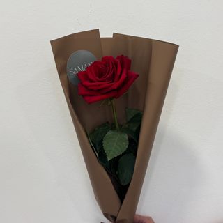 წითელი ვარდი