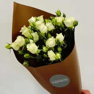 თეთრი სპრეივარდების თაიგული