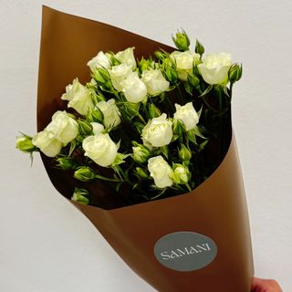 თეთრი სპრეივარდების თაიგული