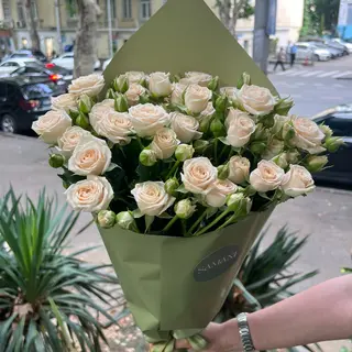 კრემისფერი სპრეი ვარდები