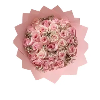 pink rose
