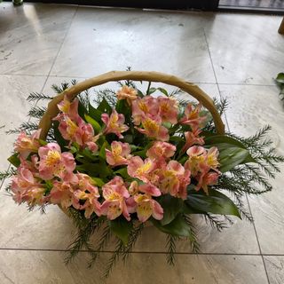 სევდის კალათა