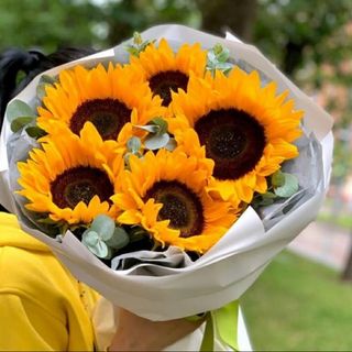 მზესუმზირების თაიგული