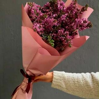 იასამნები