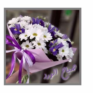 ქრიზანთემები და ირისების