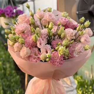 ეუსტომების თაიგული