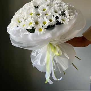 ქრიზანთემები