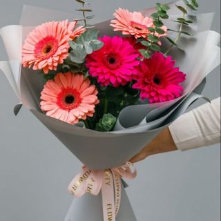 ფერადი გერბერები