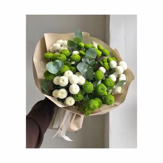 ჰოლანდიური ქრიზანთემები