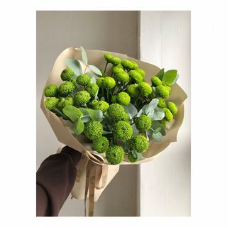 ჰოლანდიური ქრიზანთემები